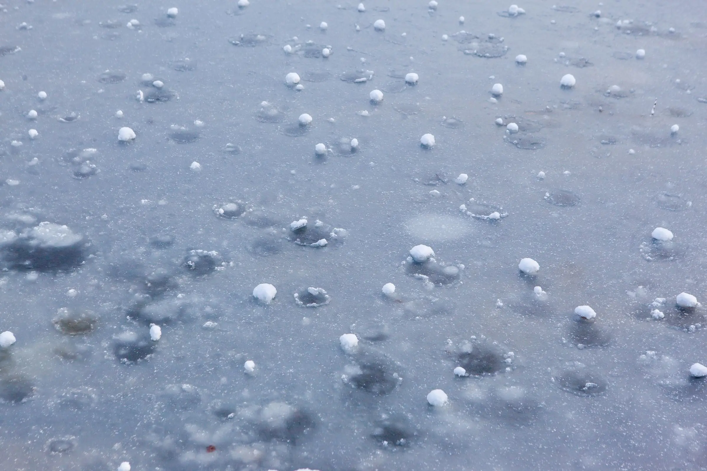 Hailstones scattered across cold wet pavement in the minutes after a storm.