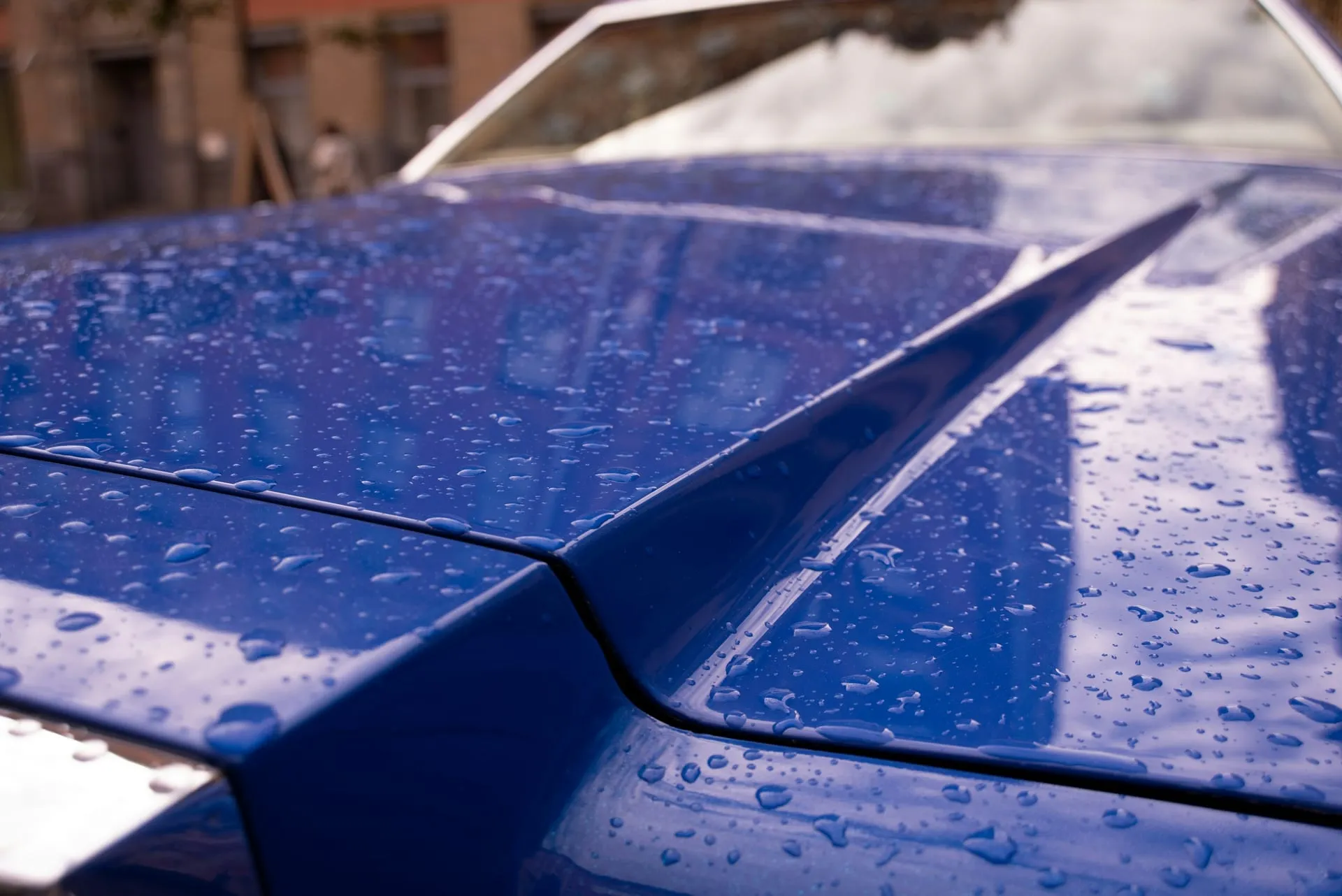 Rain beading into tight drops on the glossy blue hood of a coated car