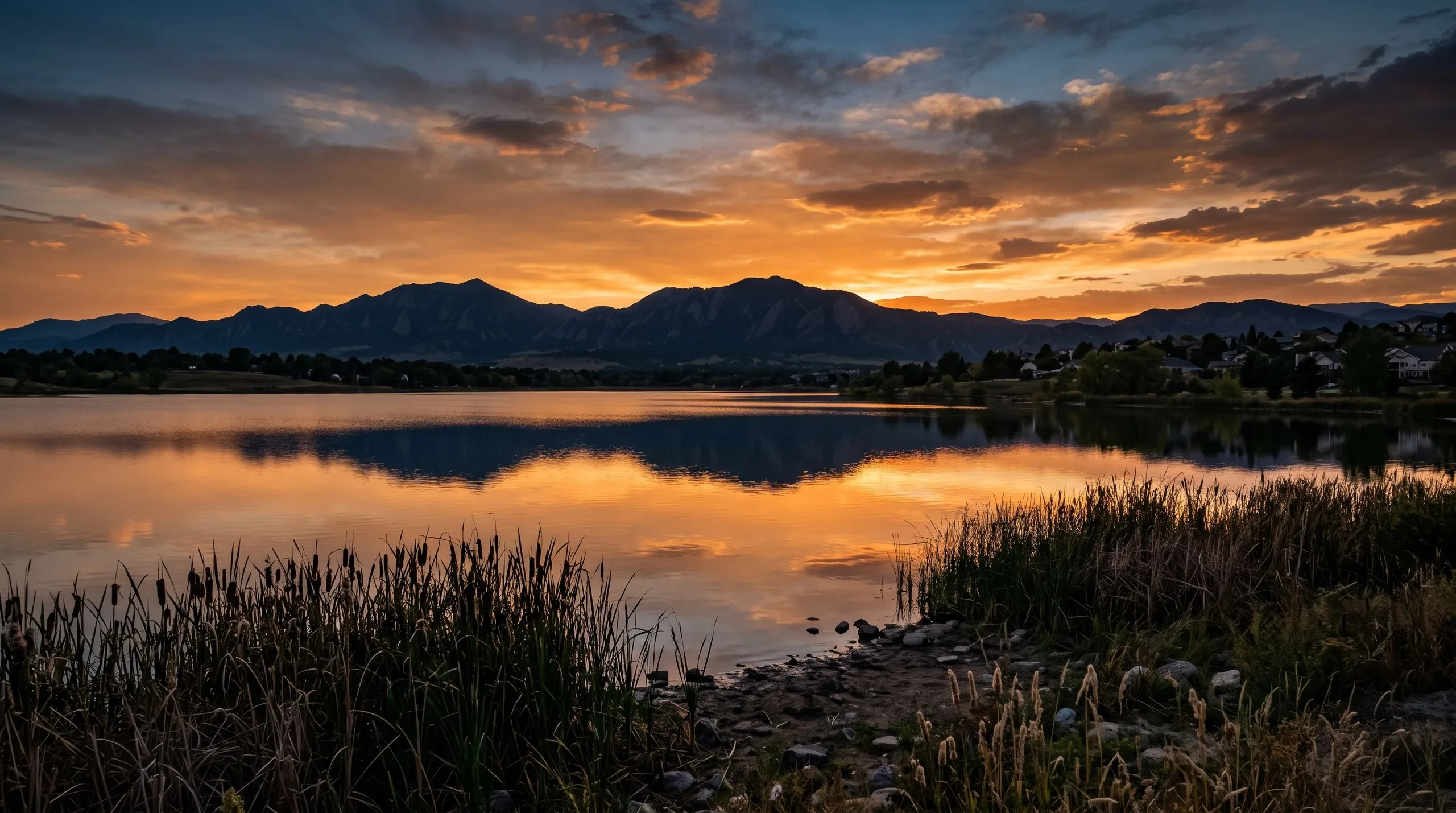 A Front Range lake at sunset, cattails in the foreground and the mountains silhouetted behind homes on the far shore.
